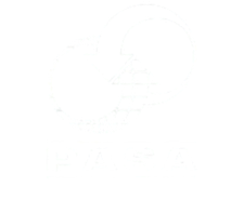 Pasa Grey 1